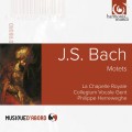 巴哈：經文歌 BWV 225-230　Bach：Motets, BWV 225-230